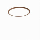 Vaenile | Ceiling Mounted Light
