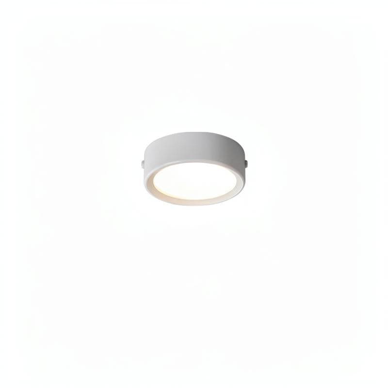 Lorvinthera | Surface Mounted Light