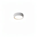 Lorvinthera | Surface Mounted Light
