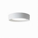 Marze | Ceiling Mounted Light
