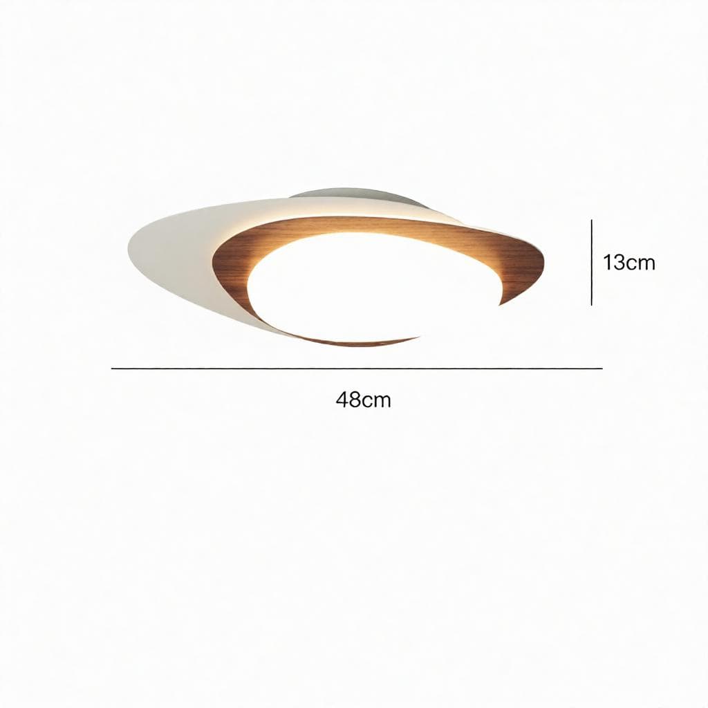 Brandin | Ceiling Mounted Light - Detail View #4 | HomeCartel