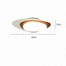 Brandin | Ceiling Mounted Light