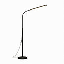 Avalynne A | Floor Lamp