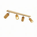 Aelronessa | Track Light