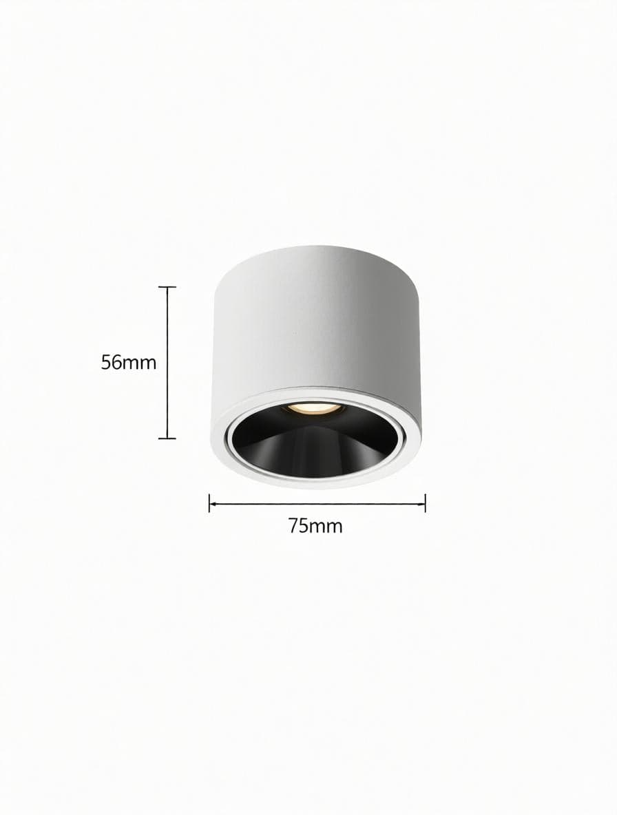 Jonvaleriae | Surface Mounted Light