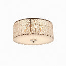 Wurgler | Ceiling Mounted Light