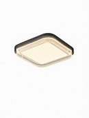 Seltharun | Ceiling Mounted Light