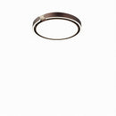 Brosmer A | Ceiling Mounted Light