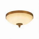 Morveness | Ceiling Mounted Light