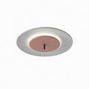 Mcgory | Ceiling Mounted Light