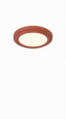 Gotter | Ceiling Mounted Light