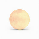 Mirenvee A | Floor Lamp