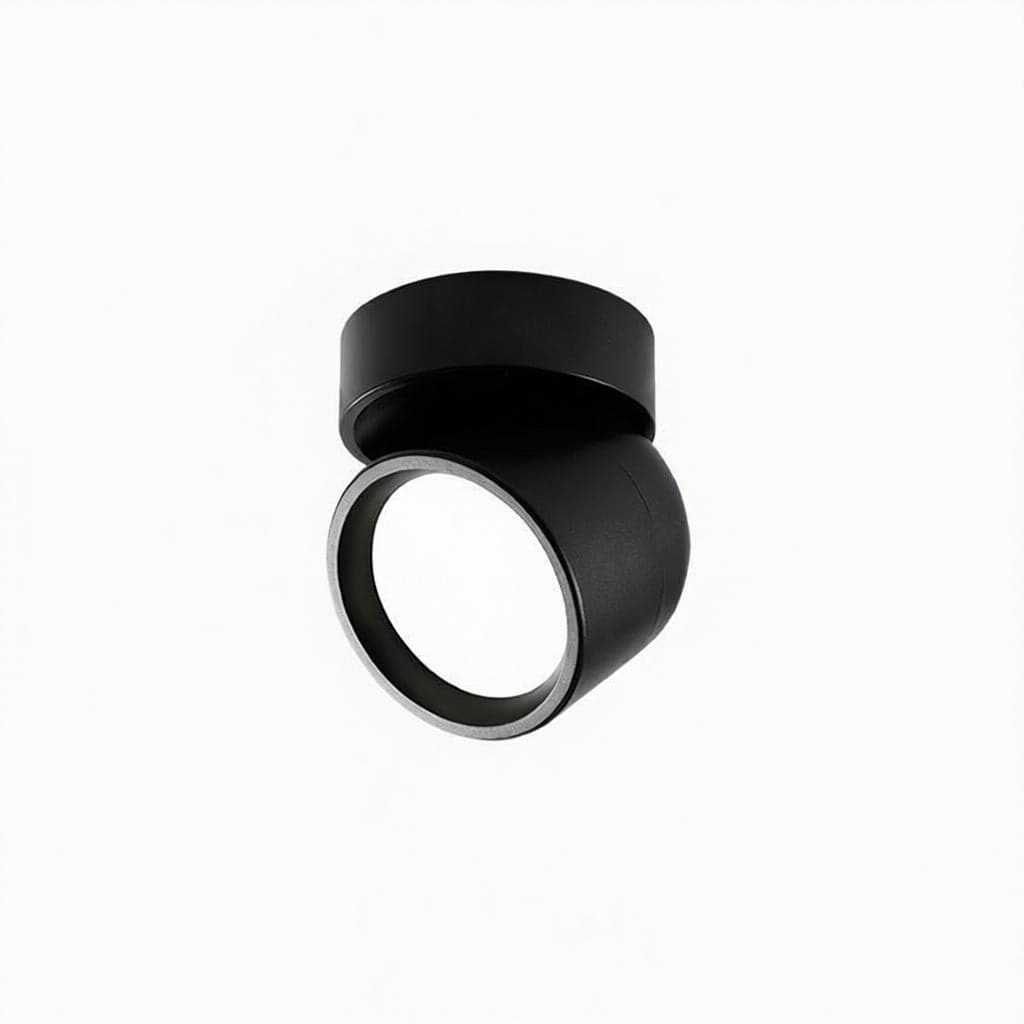 Jorvenithae | Surface Mounted Light