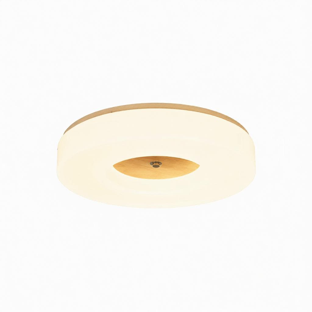 Lirianne | Ceiling Mounted Light