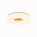 Lirianne | Ceiling Mounted Light