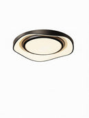 Lyraeen | Ceiling Mounted Light