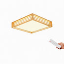 Iselwyn | Ceiling Mounted Light