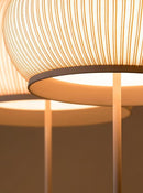 Lyvornis I Floor Lamp