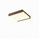 Tovarin | Ceiling Mounted Light