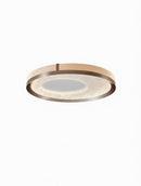 Reonara | Ceiling Mounted Light