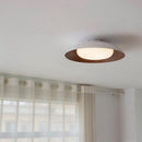 Cherkas | Ceiling Mounted Light