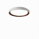 Blunden | Ceiling Mounted Light