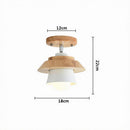 Taelindris I Semi Flush Mounted Light
