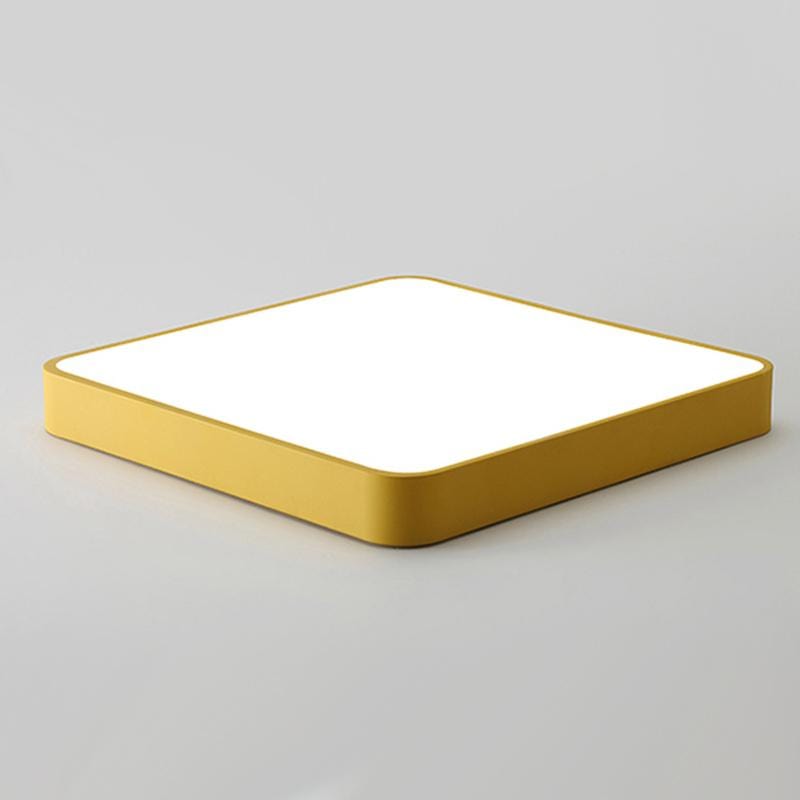 Baron Deux | 2 Color Ceiling Mounted Light - Home Cartel ®