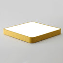 Baron Deux | 2 Color Ceiling Mounted Light