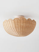 Veylran | Ceiling Mounted Light