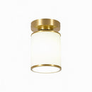 Palwynn | Semi Flush Mounted Light