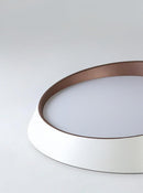 Rienzi | Ceiling Mounted Light
