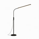 Avalynne A | Floor Lamp