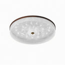 Froden | Ceiling Mounted Light