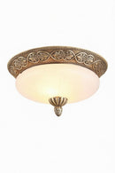 Elarithra | Ceiling Mounted Light