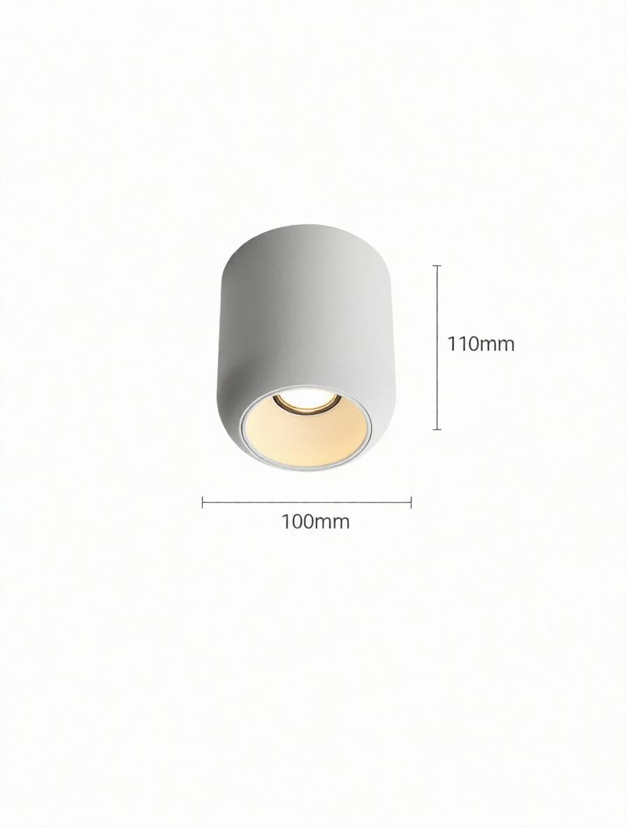 Lyrellanora | Surface Mounted Light