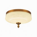 Tarnesya | Ceiling Mounted Light