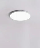 Falindryl | Ceiling Mounted Light