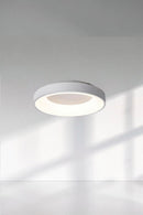 Progar 1 | Ceiling Mounted Light
