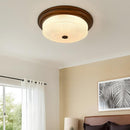 Norvalis | Ceiling Mounted Light