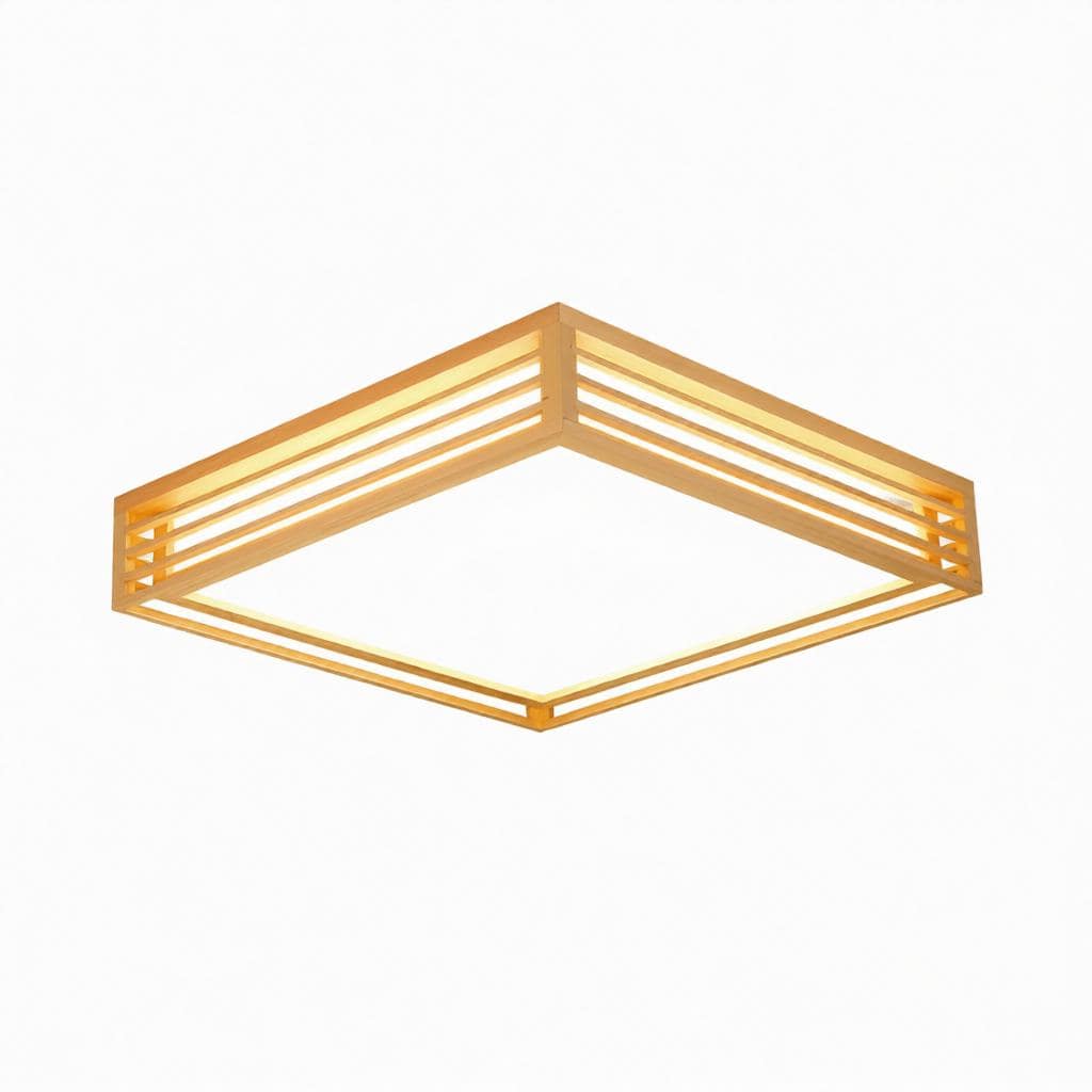 Iselwyn | Ceiling Mounted Light
