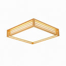 Iselwyn | Ceiling Mounted Light