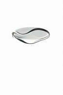 Lyvion | Ceiling Mounted Light
