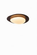 Pavis | Ceiling Mounted Light