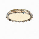 Wiesel | Ceiling Mounted Light