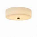 Elyraeon C | Ceiling Mounted Light