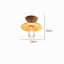 Maelisre I Semi Flush Mounted Light
