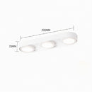 Aelaris | Surface Mounted Light