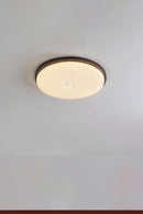 Valthai B | Ceiling Mounted Light