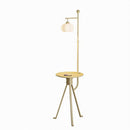 Wrelisyn | Integrated Shelf Floor Lamp